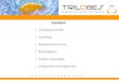 Company profile Activities Experience counts Bulk ... · Company profile Activities Experience counts Bulk logistics Project examples Integrated management. 2 Company Profile Trilobes