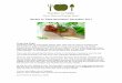 Garden to Table Newsletter December 2011 · Grow Harvest Prepare Share Garden to Table Newsletter December 2011 Look to end of this newsletter for a seasonal tomato recipe From the
