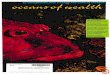 o,e,e,~~~·-,o, ~e~tt~ · of marine snail (Drupe/la) predation on a massive (Porites) coral. Photo - Robert Garvey Recherche Archipelago, as well as the biologically diverse coastal