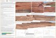 Ancient environmental forcings recorded in aeolian ... · Ancient environmental forcings recorded in aeolian stratigraphy: an Earth analog to aeolian strata on Mars ... Havholm et