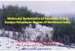 Molecular Systematics of Bamboos in the Eastern Himalayan Region of Northeast India … · 2011-12-12 · Phylogenetic relationships among the major bamboo genera of Eastern Himalayan