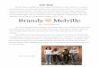 Brandy Melville - WordPress.com · Brandy Melville is a niche brand mainly because of its exclusivity in its sizing. All of the garments ... The brand has created a movement that’s