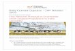 Environment Conservation First National Protocol to Enumerate Snow Leopard …cl-video.s3.amazonaws.com/download_section/CA/24-10-2019... · 2019-10-24 · Snow Leopard enumeration