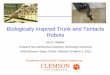 Department of Electrical & Computer Engineering CLEMSON · 2013-09-18 · Biologically Inspired Trunk and Tentacle Robots . Ian D. Walker In-Space Non-Destructive Inspection Technology