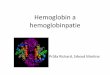 Hemoglobin a hemoglobinpatiebiochemie.lf2.cuni.cz/cesky/biox2zimni/prednasky... · 2017-12-13 · •Imunochemické stanovení x HPL •Abnormální Hb (více než 400) interferují