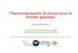 Thermodynamic ﬂuctuations in model glasses · Thermodynamic ﬂuctuations in model glasses Ludovic Berthier Laboratoire Charles Coulomb Universite Montpellier 2 & CNRS´ Glassy