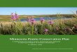 Minnesota Prairie Conservation Plan › media › minnesota › mn-prairie... · Minnesota Prairie Conservation Plan A habitat plan for native prairie, grassland and wetlands 