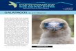 June/July 2018 Volume 34 Issue 6 GALAPAGOS by …...GALAPAGOS by Lynn Wegener Alaska Society of Outdoor and Nature Photographers June/July 2018 Volume 34 Issue 6 Located 600 miles