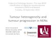 Tumour heterogeneity and tumour progression in …cpo-media.net/ECP/2019/Congress-Presentations/1289...Tumour heterogeneity and tumour progression in NENs Endocrine Pathology Session: