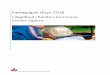 Pædagogisk tilsyn 2018...[4] Samlet rapport pædagogisk tilsyn på dagtilbudsområdet i Randers Kommune 2018 bilagsmappen. Hvert tema, der er beskrevet, afsluttes med en beskrivelse