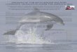 GROWTH OF THE BOTTLENOSE DOLPHIN {TURSIOPS TRUNCATUS) FROM …intranet.vef.hr/dolphins/radovi/ecs2008/duras gomercic 2008 ecs pos… · GROWTH OF THE BOTTLENOSE DOLPHIN {TURSIOPS
