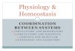 Physiology & Homeostasis - Mrs. Baurbaurbiology.weebly.com/.../physiology___homeostasis_intro_notes_1… · Homeostasis Homeostasis is a steady, yet dynamic state An organism will