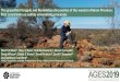 The greenfield Grapple and Bumblebee discoveries of the ... · Bumblebee Grapple. Aileron Province Warumpi Province. Independence Group’s Lake Mackay Project. Greenfields polymetallic