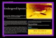 Endangered Species Origami - Microsoft · 2020-06-02 · Make origami models of whales and turtles Here’s an activity that can help introduce the topic of endangered spe-cies, particularly