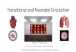 Transitional and Neonatal Circulation - MCA …...Transitional and Neonatal Circulation Patrick J McNamara Professor of Paediatrics & Physiology Senior Associate Scientist, University