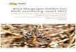 West Macgregor Golden Sun Moth monitoring report 2017€¦ · West Macgregor Golden Sun Moth monitoring report 2017 . Golden Sun Moth population monitoring and habitat assessment
