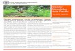 Gender Newsletter Asia Pacific · a staggering 108 years to close the gender gap. “Gender Analysis in Livestock Management and Interven-tions” in cooperation with the Ministry
