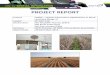 PROJECT REPORT - CRC for Spatial Information€¦ · PROJECT REPORT . Project SIARA – Spatial Information Applications in Rural Australia (Stage 1) ... optimised for resource management,