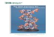The DNA Discovery Kit - 3D Molecular Designs...2013/05/16  · The DNA Discovery Kit© 4 We encourage you to leave the DNA Discovery Kit© pieces out on a table for your students to