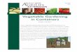 Vegetable Gardening in Containers - Texas A&M …...ideally suited for these mini-gardens are indicated in Table 1. Table 1. Varieties for Container Grown Vegetables Broccoli (2 gallons,