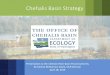 Chehalis Basin Strategy - Washington · adaptive management • Overall level of investment, sequencing of actions, implementation schedule, quantified measures for evaluating the