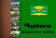 В первом - uCozdootc.ucoz.ru/is/dfg/zhurnal.pdf · 2019-07-22 · А ну ка братец вольный ветер, принеси-ка издалека дерева какого