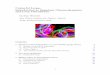 Colourful Loops: Introduction to Quantum Chromodynamics and 2018-08-31¢  Introduction to Quantum Chromodynamics