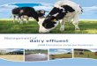 Management of dairy efﬂ uent...Farmers should be doing the following in regards to dairy efﬂ uent management in order to comply with the objectives of the Environment Protection
