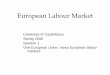 European Labour Market - University Carlo Cattaneomy.liuc.it › MatSup › 2007 › F88891 › LIUC 2007_1ab Nl diffs.pdf · European Labour Market University of Castellanza Spring