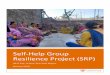 Self-Help Group Resilience Project (SRP)...empowerment for decision making and mobility)5; and social and emotional wellbeing (Self-reported Questionnaire [SRQ-20]6, peer support (Multidimensional