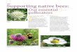 Our essential pollinators · Wild bergamot Monarda fistulosa Summer 2–4’ Sun to part shade Average to dry Prairie spiderwort Tradescantia occidentalis Summer 1–2’ Sun Average