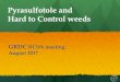 Pyrasulfotole and Hard to Control weeds · Pyrasulfotole and Hard to Control weeds GRDC RCSN meeting August 2017 . Glen Bradley – Customer Sales Representative ... MCPA LVE. 600