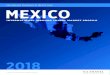International Visitations to the U.S. from MEXICO · Mexico accounted for 23% of all international visitations to the U.S. (down from 24% in 2015) and the U.S. accounted for 83% of