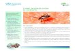 Lyme borreLiosis (, europe - World Health Organization · PDF file 2014-04-04 · •Lyme disease, or Lyme borreliosis (LB), is a bacterial disease transmitted to humans through the