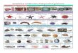 Southern California Tidepool Organisms › assets › sites › 291 › docs › ... · fragile Sea Lettuce Ulva spp. Dead Man’s Fingers Encrusting Coralline Algae Lithothamnion