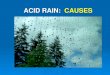 ACID RAIN: CAUSES - XTECateneu.xtec.cat/.../_media/cmd/lle/clsi/modul_3/acid_rain_causes.pdf · Volcanoes, as well as factories and cars, emit the gases that produce the acid rain