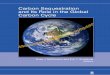 Geophysical Monograph Series · 2013-07-16 · Geophysical Monograph Series 166 Back-Arc Spreading Systems: Geological, Biological, Chemical, and Physical Interactions David M. Christie,