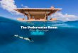 The Underwater Room€¦ · The underwater room security guard will be anchored to a buoy not far off from the room. ... Pemba is still the world’s major clove producer, around