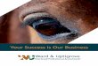 Home - Ward & Uptigrove - Your Success Is Our … Vet...Wealth Management Advisor Luke helps veterinarians and their spouses realize their dreams by identifying their goals and then