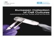 European Collection of Cell Cultures...European Collection of Cell Cultures (ECACC) ECACC authenticated cell cultures are used in a wide range of life science research. Applications