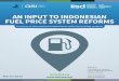 AN INPUT TO INDONESIAN FUEL PRICE SYSTEM REFORMS · 2015-06-05 · AN INPUT TO INDONESIAN FUEL PRICE SYSTEM REFORMS A review of international experiences with fuel pricing systems