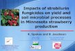 Impacts of strobilurin fungicides on yield and soil …Impacts of strobilurin fungicides on yield and soil microbial processes in Minnesota strawberry production K. Spokas and B. Jacobson
