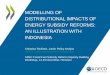 DISTRIBUTIONAL IMPACTS OF ENERGY SUBSIDY REFORM IN … › documents › Session_7_Timiliotis.pdf · MODELLING OF DISTRIBUTIONAL IMPACTS OF ENERGY SUBSIDY REFORMS: AN ILLUSTRATION