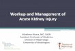 Workup and Management of Acute Kidney Injury › ... Cardiorenal syndromes Type 1 (acute) – Acute HF results in acute kidney injury Type 2 – Chronic cardiac dysfunction (eg, chronic