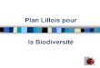 Plan Lillois pour la Biodiversité€¦ · Un plan Eco-citoyenneté « nature » pour recréer le lien Homme- Nature 3. Une trame verte, bleue et noire pour préserver et restaurer
