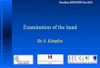 Examination of the hand - CRR Suva · 2020-01-16 · Examination of the hand Dr. S. Kämpfen Grundkurs SGSM-SSMS Sion 2014. Clinical History ... Radial wrist examination