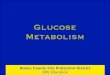 Glucose Metabolism - EMS Educationems.bcfdmo.com › wp-content › uploads › 2018 › 01 › Blood-Glucose-slides.pdfInsulin is needed to help glucose to get access into most body