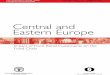 Central and Eastern Europe · CENTRAL AND EASTERN EUROPE: Impact of Food Retail Investments on the Food Chain 1 THE ECONOMIC AND TRANSITIONAL IMPACT OF FOOD RETAIL INVESTMENTS 1