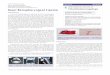 Giant Retropharyngeal Lipoma - Avens Publishing Group › wp-content › uploads › JOT-2380-0569  · PDF file Giant Retropharyngeal Lipoma Introduction Lipoma in the head and neck