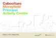 Caboolture Morayfield Principal Activity Centre...1 The Caboolture-Morayfield Principal Activity Centre Master Plan is a visionary document which seeks economic and urban transformation